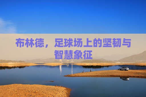 布林德,足球场上的坚韧与智慧象征 布林德,足球场上的坚韧与智慧象征