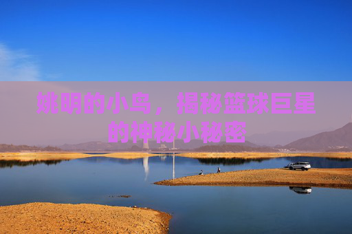 姚明的小鸟，揭秘篮球巨星的神秘小秘密