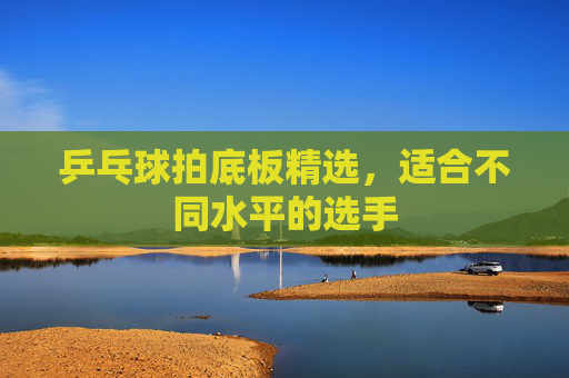 乒乓球拍底板精选，适合不同水平的选手