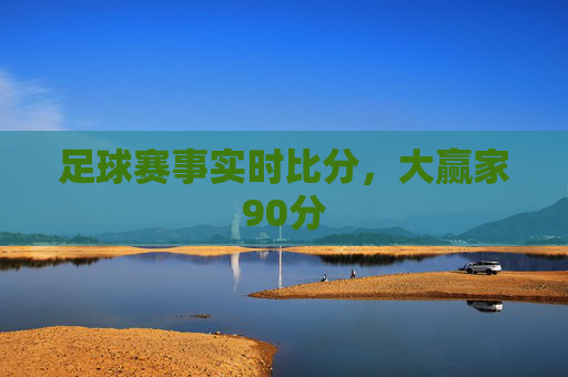 足球赛事实时比分，大赢家90分