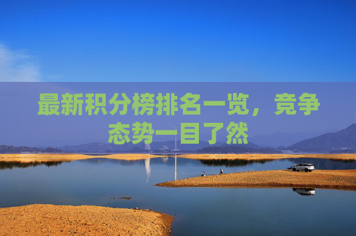 最新积分榜排名一览，竞争态势一目了然