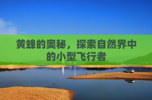 黄蜂的奥秘，探索自然界中的小型飞行者