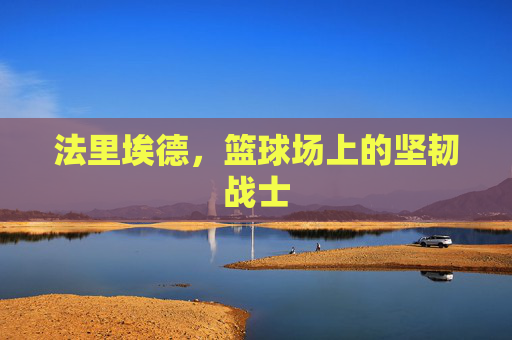 法里埃德,篮球场上的坚韧战士 法里埃德,篮球场上的坚韧战士