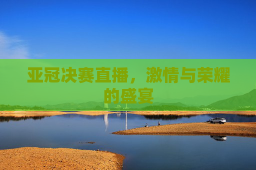 亚冠决赛直播，激情与荣耀的盛宴