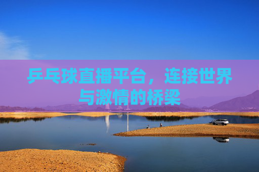 乒乓球直播平台，连接世界与激情的桥梁