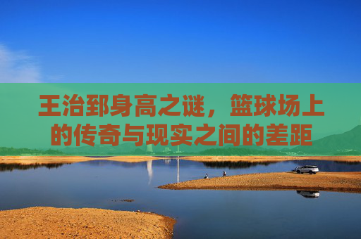 王治郅身高之谜，篮球场上的传奇与现实之间的差距