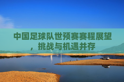 中国足球队世预赛赛程展望，挑战与机遇并存
