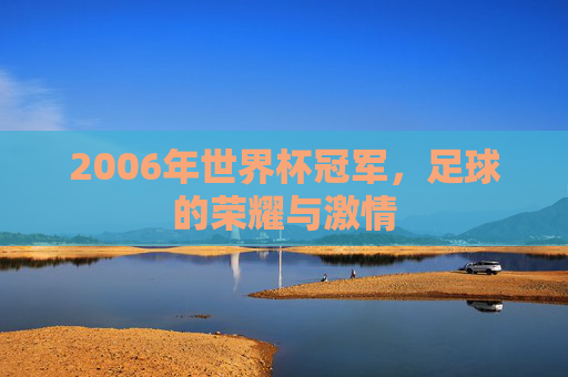 2006年世界杯冠军，足球的荣耀与激情