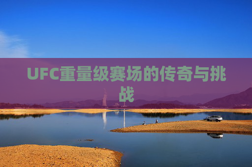 UFC重量级赛场的传奇与挑战