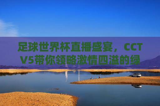 足球世界杯直播盛宴，CCTV5带你领略激情四溢的绿茵战场