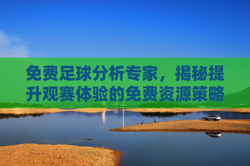 免费足球分析专家,揭秘提升观赛体验的免费资源策略 免费足球分析专家,揭秘提升观赛体验的免费资源策略
