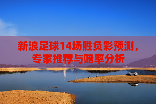 新浪足球14场胜负彩预测，专家推荐与赔率分析