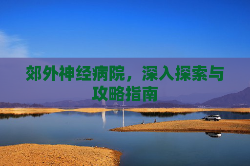 郊外神经病院，深入探索与攻略指南