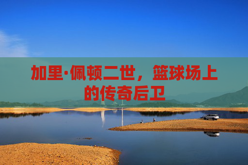 加里·佩顿二世，篮球场上的传奇后卫