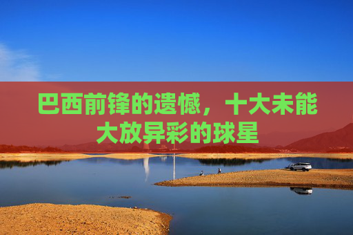巴西前锋的遗憾,十大未能大放异彩的球星 巴西前锋的遗憾,十大未能大放异彩的球星