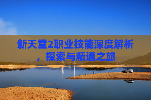 新天堂2职业技能深度解析，探索与精通之旅