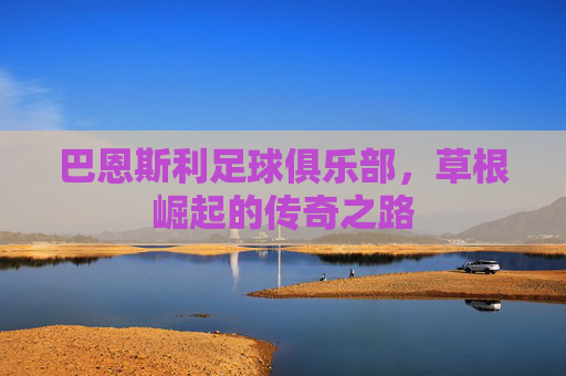 巴恩斯利足球俱乐部,草根崛起的传奇之路 巴恩斯利足球俱乐部,草根崛起的传奇之路