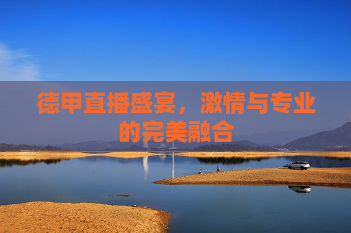 德甲直播盛宴，激情与专业的完美融合