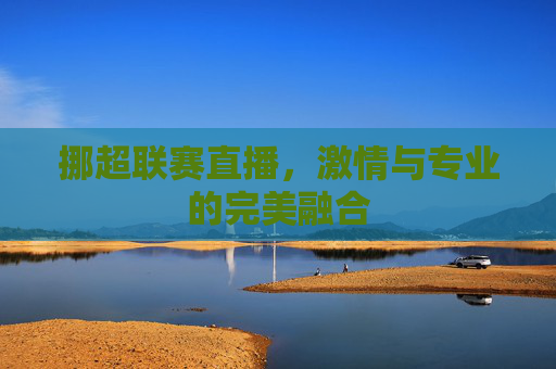 挪超联赛直播，激情与专业的完美融合
