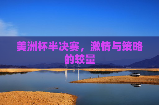 美洲杯半决赛，激情与策略的较量
