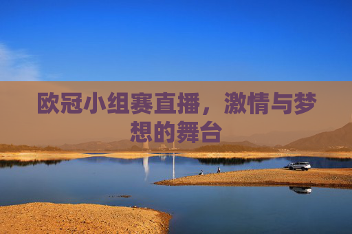 欧冠小组赛直播,激情与梦想的舞台 欧冠小组赛直播,激情与梦想的舞台