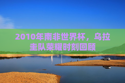 2010年南非世界杯,乌拉圭队荣耀时刻回顾 2010年南非世界杯,乌拉圭队荣耀时刻回顾