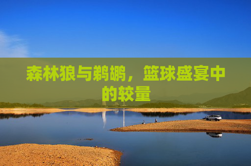 森林狼与鹈鹕，篮球盛宴中的较量