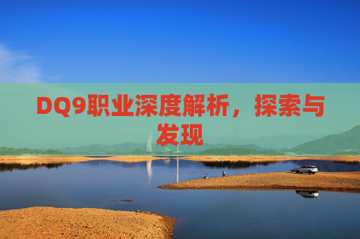 DQ9职业深度解析，探索与发现