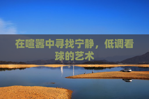 在喧嚣中寻找宁静，低调看球的艺术