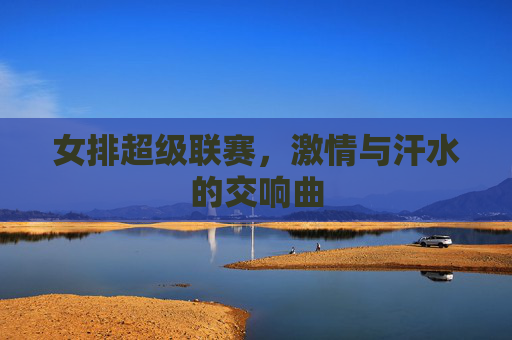 女排超级联赛，激情与汗水的交响曲