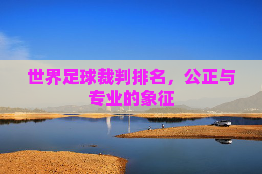 世界足球裁判排名，公正与专业的象征