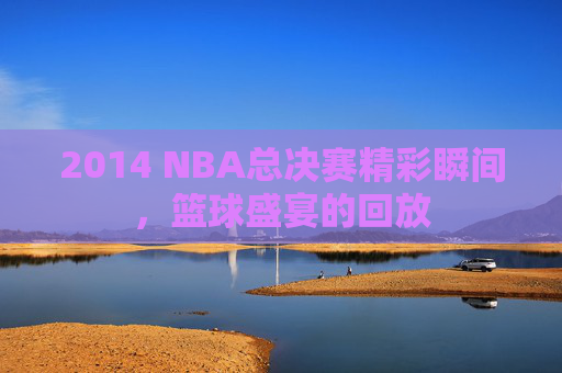 2014 NBA总决赛精彩瞬间，篮球盛宴的回放