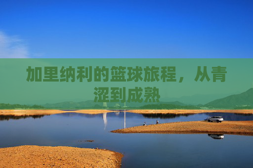 加里纳利的篮球旅程，从青涩到成熟