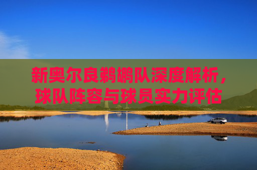 新奥尔良鹈鹕队深度解析，球队阵容与球员实力评估