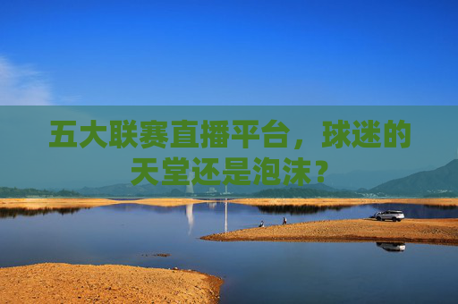 五大联赛直播平台，球迷的天堂还是泡沫？