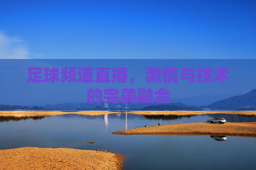 足球频道直播，激情与技术的完美融合