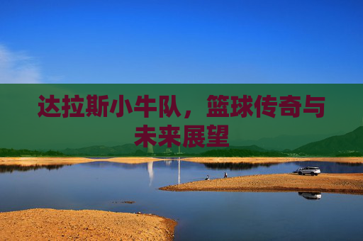 达拉斯小牛队，篮球传奇与未来展望