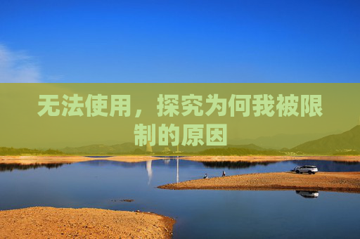 无法使用，探究为何我被限制的原因