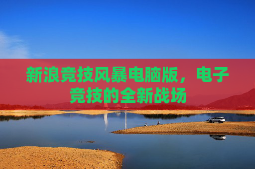 新浪竞技风暴电脑版，电子竞技的全新战场