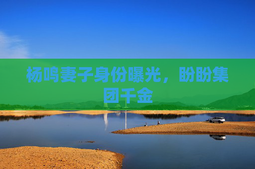 杨鸣妻子身份曝光，盼盼集团千金