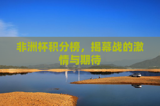 非洲杯积分榜，揭幕战的激情与期待