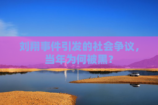 刘翔事件引发的社会争议，当年为何被黑？