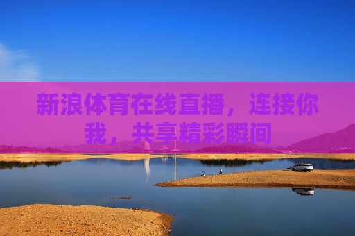 新浪体育在线直播，连接你我，共享精彩瞬间