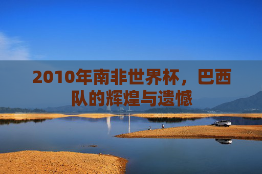 2010年南非世界杯，巴西队的辉煌与遗憾