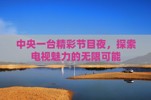 中央一台精彩节目夜，探索电视魅力的无限可能