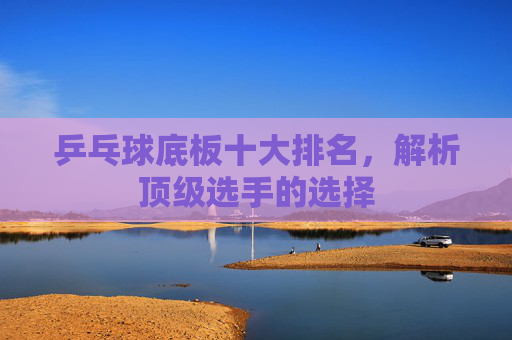 乒乓球底板十大排名，解析顶级选手的选择