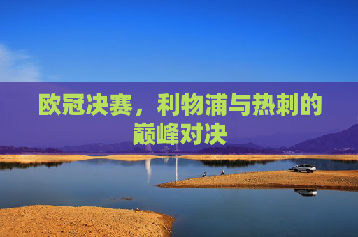 欧冠决赛，利物浦与热刺的巅峰对决