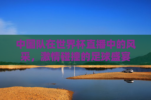 中国队在世界杯直播中的风采，激情碰撞的足球盛宴