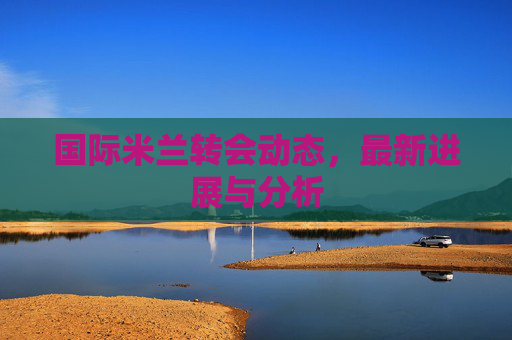 国际米兰转会动态，最新进展与分析