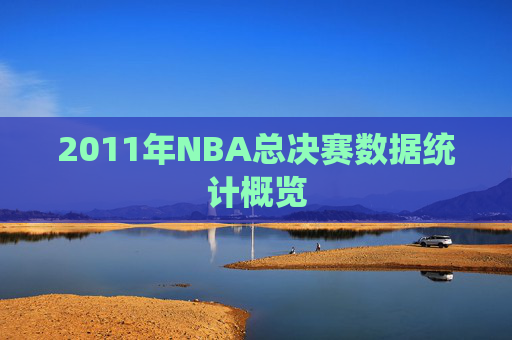 2011年NBA总决赛数据统计概览